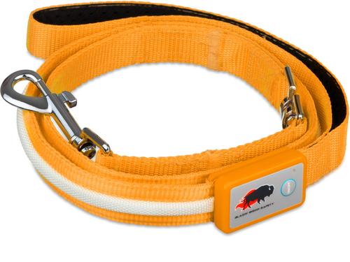 Show full view: Blazin LED Dog Leash, Orange, Small slide 3 of 8
