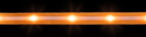 Show full view: Blazin LED Dog Leash, Orange, Small slide 4 of 8