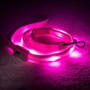 Blazin LED Dog Leash, Pink, Small
