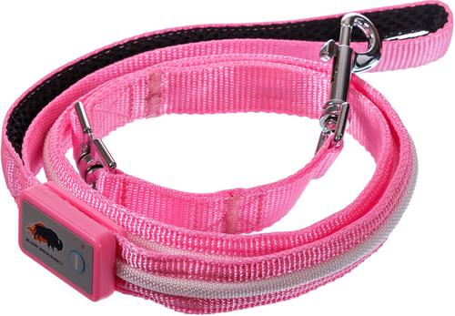 Show full view: Blazin LED Dog Leash, Pink, Small slide 2 of 6