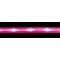 Show in main carousel: Blazin LED Dog Leash, Pink, Small slide 5 of 6