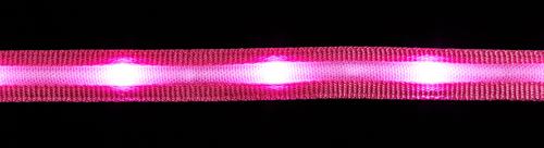 Show full view: Blazin LED Dog Leash, Pink, Small slide 5 of 6