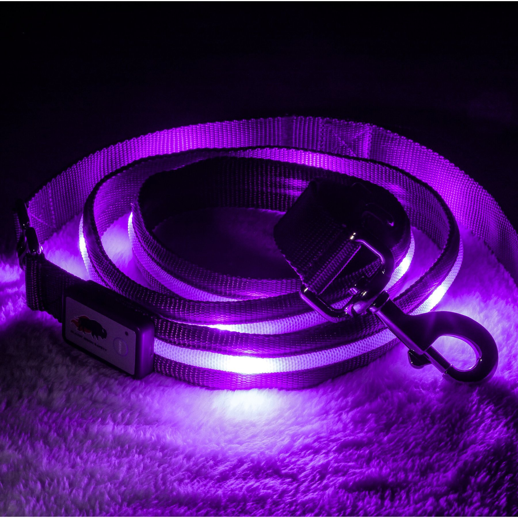Blazin LED Dog Leash, Purple, Large