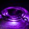 Show in main carousel: Blazin LED Dog Leash, Purple, Large slide 1 of 9