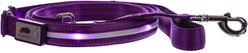 Blazin LED Dog Leash, Purple, Large slide 2 of 8