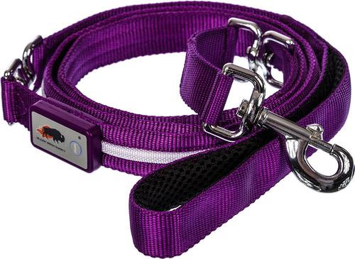 Show full view: Blazin LED Dog Leash, Purple, Large slide 6 of 9