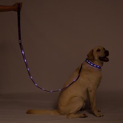 Show full view: Blazin LED Dog Leash, Purple, Large slide 7 of 9