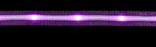 Show full view: Blazin LED Dog Leash, Purple, Large slide 8 of 9