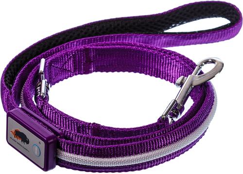 Show full view: Blazin LED Dog Leash, Purple, Small slide 2 of 6