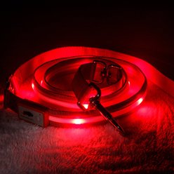 Blazin LED Dog Leash, Red, Large