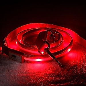 Blazin LED Dog Leash, Red, Large