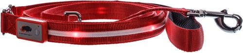 Show full view: Blazin LED Dog Leash, Red, Large slide 2 of 9