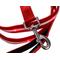 Show in main carousel: Blazin LED Dog Leash, Red, Large slide 3 of 9