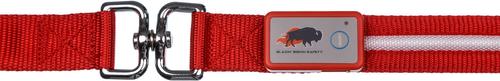 Show full view: Blazin LED Dog Leash, Red, Large slide 4 of 9