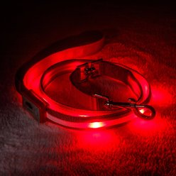Blazin LED Dog Leash, Red, Small slide 1 of 5