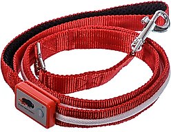Blazin LED Dog Leash, Red, Small slide 2 of 5