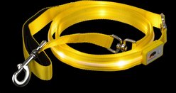 Blazin LED Dog Leash, Yellow, Large
