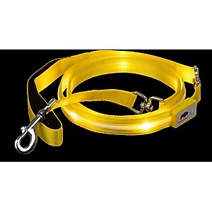 Blazin LED Dog Leash, Yellow, Large