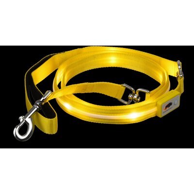 Blazin Blazin LED Dog Leash, Yellow, Large