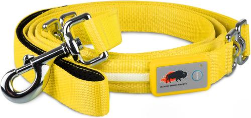 Show full view: Blazin LED Dog Leash, Yellow, Large slide 2 of 8