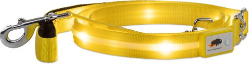 Show full view: Blazin LED Dog Leash, Yellow, Large slide 4 of 8