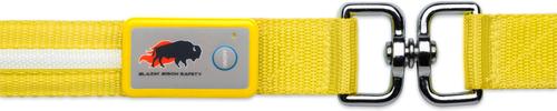Show full view: Blazin LED Dog Leash, Yellow, Large slide 5 of 8