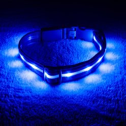 Blazin LED USB Rechargeable Nylon Dog Collar, Blue, Large