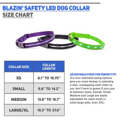 Show full view: Blazin LED USB Rechargeable Nylon Dog Collar, Blue, Large: 19.3 to 27.6-in neck, 1-in wide slide 6 of 8
