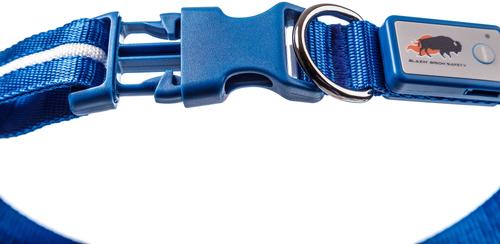 Show full view: Blazin LED USB Rechargeable Nylon Dog Collar, Blue, Medium: 13.8 to 19.7-in neck, 1-in wide slide 3 of 8
