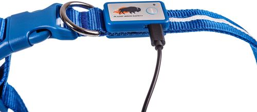 Show full view: Blazin LED USB Rechargeable Nylon Dog Collar, Blue, Small: 9.8 to 14.2-in neck, 5/8-in wide slide 2 of 8
