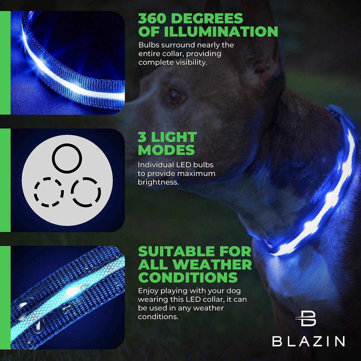 Blazin LED USB Rechargeable Nylon Dog Collar
