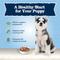 Show in main carousel: Blue Buffalo Baby Blue Healthy Growth Formula Grain-Free High Protein Turkey & Potato Recipe Puppy Wet Food, 12.5-oz cans, case of 12 slide 5 of 11