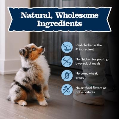Show full view: Blue Buffalo Baby Blue Healthy Growth Formula Natural Chicken & Vegetable Recipe Puppy Wet Food, 12.5-oz cans, case of 12 slide 7 of 11