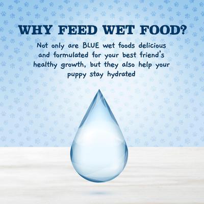 Show full view: Blue Buffalo Baby Blue Healthy Growth Formula Natural Chicken & Vegetable Recipe Puppy Wet Food, 3.5-oz cups, case of 12 slide 7 of 10