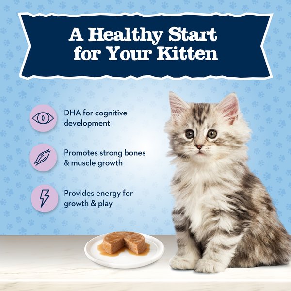 Show full view: Blue Buffalo Baby BLUE Healthy Growth Formula Natural Kitten Dry Cat Food, Chicken & Brown Rice Recipe + Kitten Crunchies Natural Kitten Treats, Savory Chicken slide 5 of 10