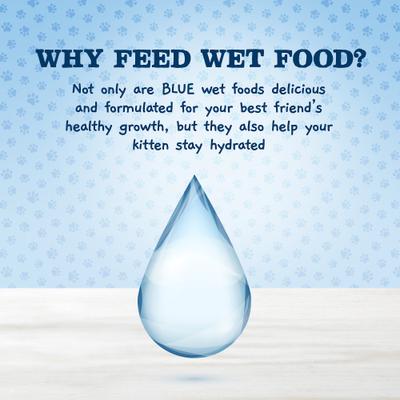 Show full view: Blue Buffalo Baby Blue Healthy Growth Formula Natural Multi-Pack Chicken Recipe Kitten Wet Food, 3-oz cans, 6 count slide 7 of 10