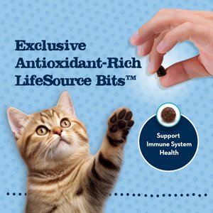 Blue Buffalo Baby BLUE Kitten Chicken & Brown Rice Recipe Dry Cat Food, 2-lb bag