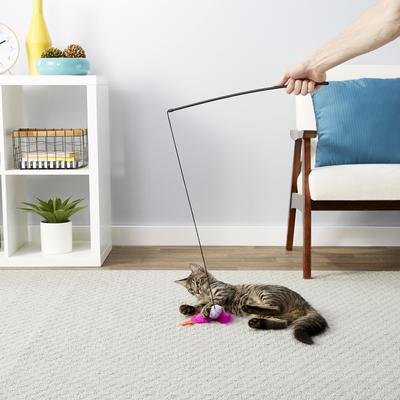 Show full view: Blue Buffalo Baby BLUE Kitten Crunchies, Natural Kitten Treats, Savory Salmon + Frisco Bird Teaser with Feathers Toy slide 9 of 9