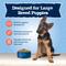 Show in main carousel: Blue Buffalo Baby BLUE Large Breed Puppy Chicken & Brown Rice Recipe Dry Dog Food, 24-lb bag slide 5 of 11