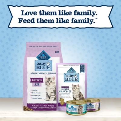 Show full view: Blue Buffalo Baby Blue Savory Chicken Kitten Treats, 2-oz bag slide 10 of 11