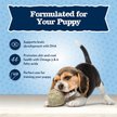 Show in main carousel: Blue Buffalo Baby BLUE Savory Chicken Puppy Training Soft Dog Treats, 4-oz bag slide 6 of 11