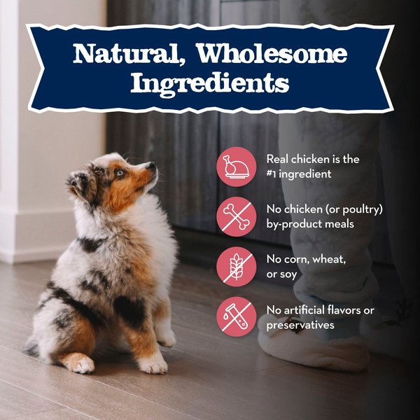 Blue Buffalo Baby Blue Small Breed Healthy Growth Formula Natural Chicken & Oatmeal Rice Recipe Puppy Dry Food, 4-lb bag