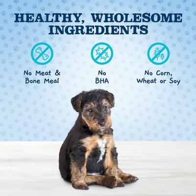 Show full view: Blue Buffalo Baby BLUE Soft Biscuits Natural, Chicken & Carrots + Crunchy Biscuits Natural Biscuits, Oatmeal & Banana Puppy Dog Treats slide 9 of 9