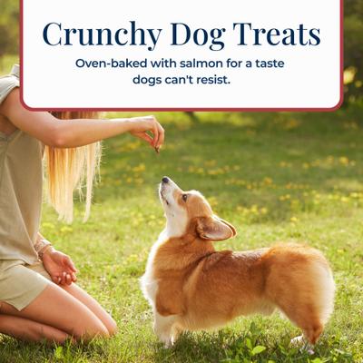 Show full view: Blue Buffalo Basics Crunchy Dog Biscuits for Skin & Stomach Care Salmon & Potato Recipe Dog Treats, 6-oz bag  slide 7 of 12