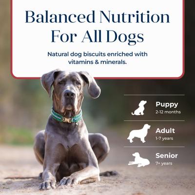 Show full view: Blue Buffalo Basics Crunchy Dog Biscuits for Skin & Stomach Care Salmon & Potato Recipe Dog Treats, 6-oz bag  slide 9 of 12