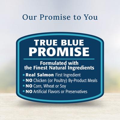 Show full view: Blue Buffalo Basics LID Skin & Stomach Care Grain-Free Salmon in Gravy Adult Wet Dog Food Topper, 2.5-oz pouch, case of 12 slide 7 of 8