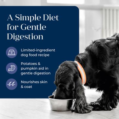 Show full view: Blue Buffalo Basics Skin & Stomach Care Adult Grain-Free Duck & Potato Recipe Wet Dog Food, 12.5-oz can, 12 count slide 4 of 12