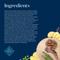 Show in main carousel: Blue Buffalo Basics Skin & Stomach Care Adult Grain-Free Lamb & Potato Recipe Dry Dog Food, 22-lb bag slide 6 of 12