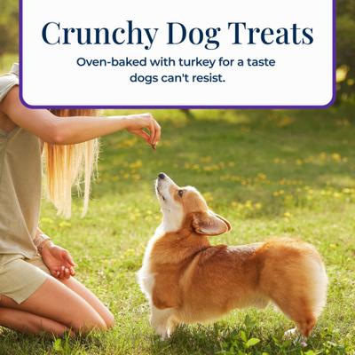 Show full view: Blue Buffalo Basics Skin & Stomach Care Biscuits Turkey & Potato Dog Treats, 6-oz bag slide 7 of 12