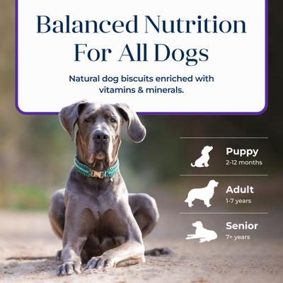 Show full view: Blue Buffalo Basics Skin & Stomach Care Biscuits Turkey & Potato Dog Treats, 6-oz bag slide 9 of 12